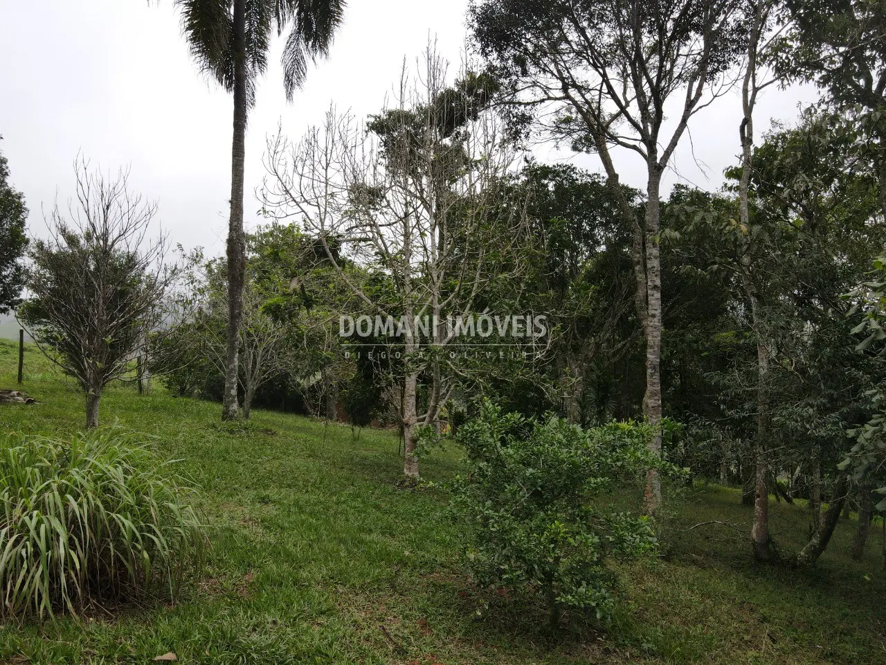 Terreno à venda de 4.860 m² em Santo Antônio do Pinhal, SP, Brasil