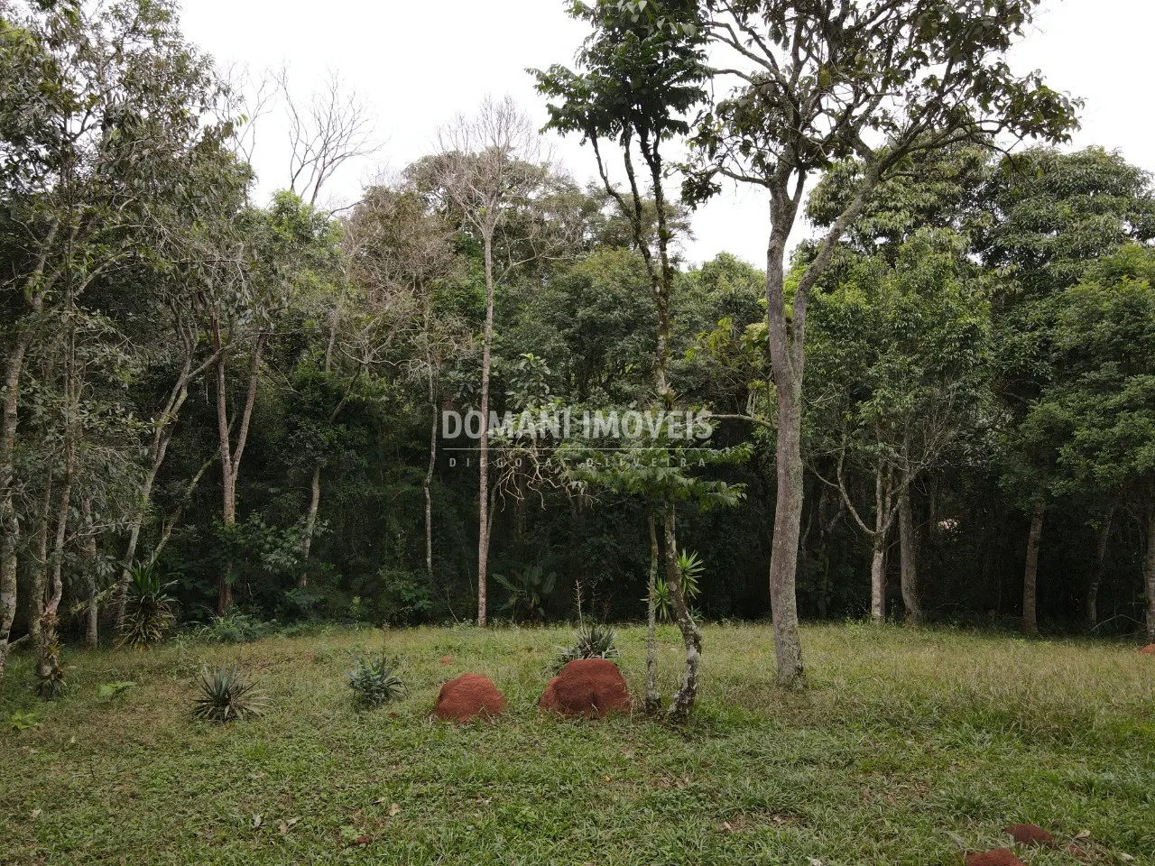 Terreno à venda de 4.860 m² em Santo Antônio do Pinhal, SP, Brasil