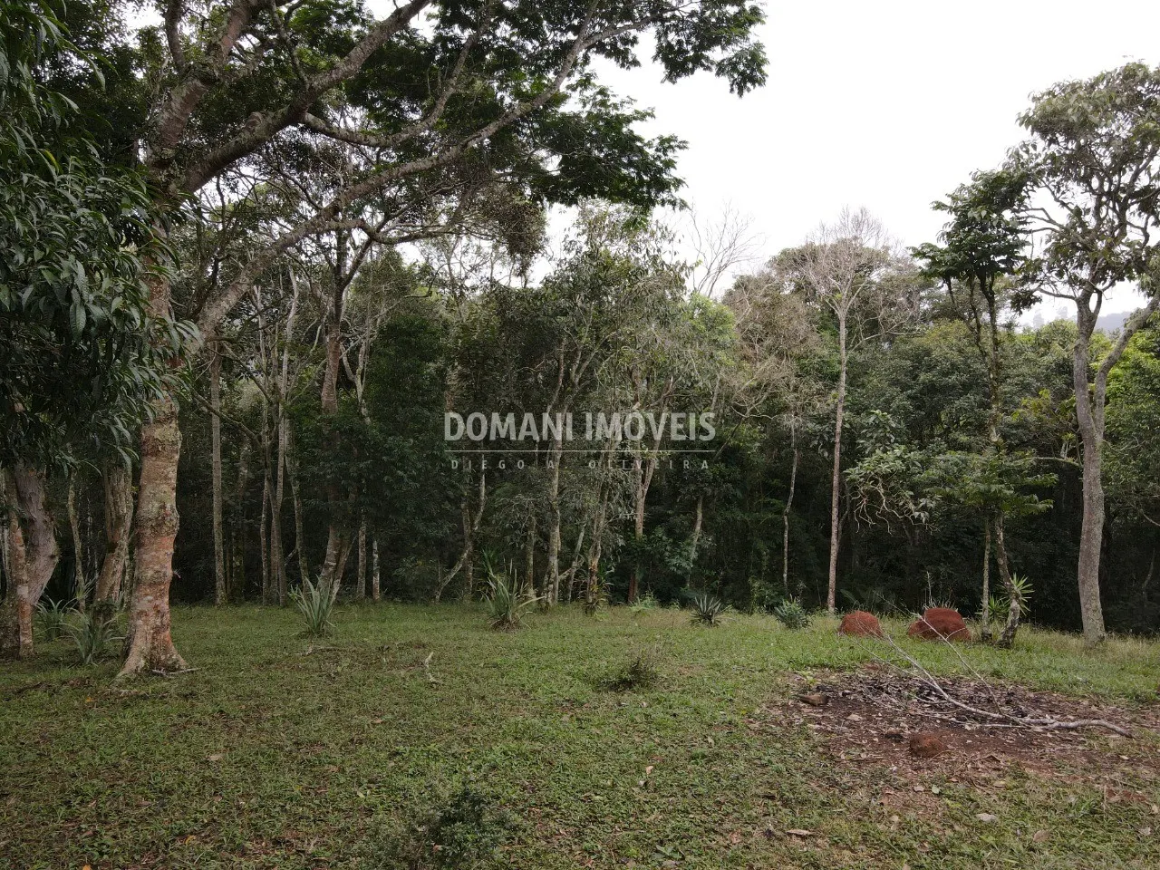 Terreno à venda de 4.860 m² em Santo Antônio do Pinhal, SP, Brasil