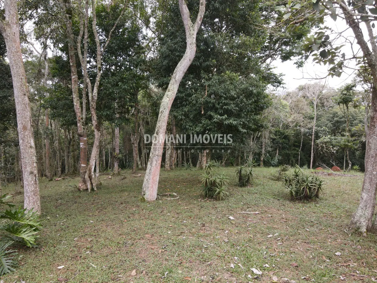 Terreno à venda de 4.860 m² em Santo Antônio do Pinhal, SP, Brasil