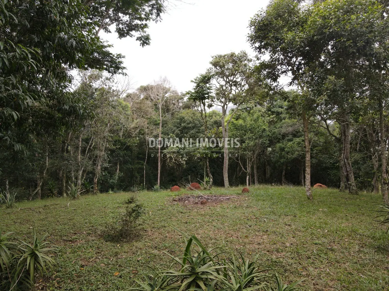 Terreno à venda de 4.860 m² em Santo Antônio do Pinhal, SP, Brasil