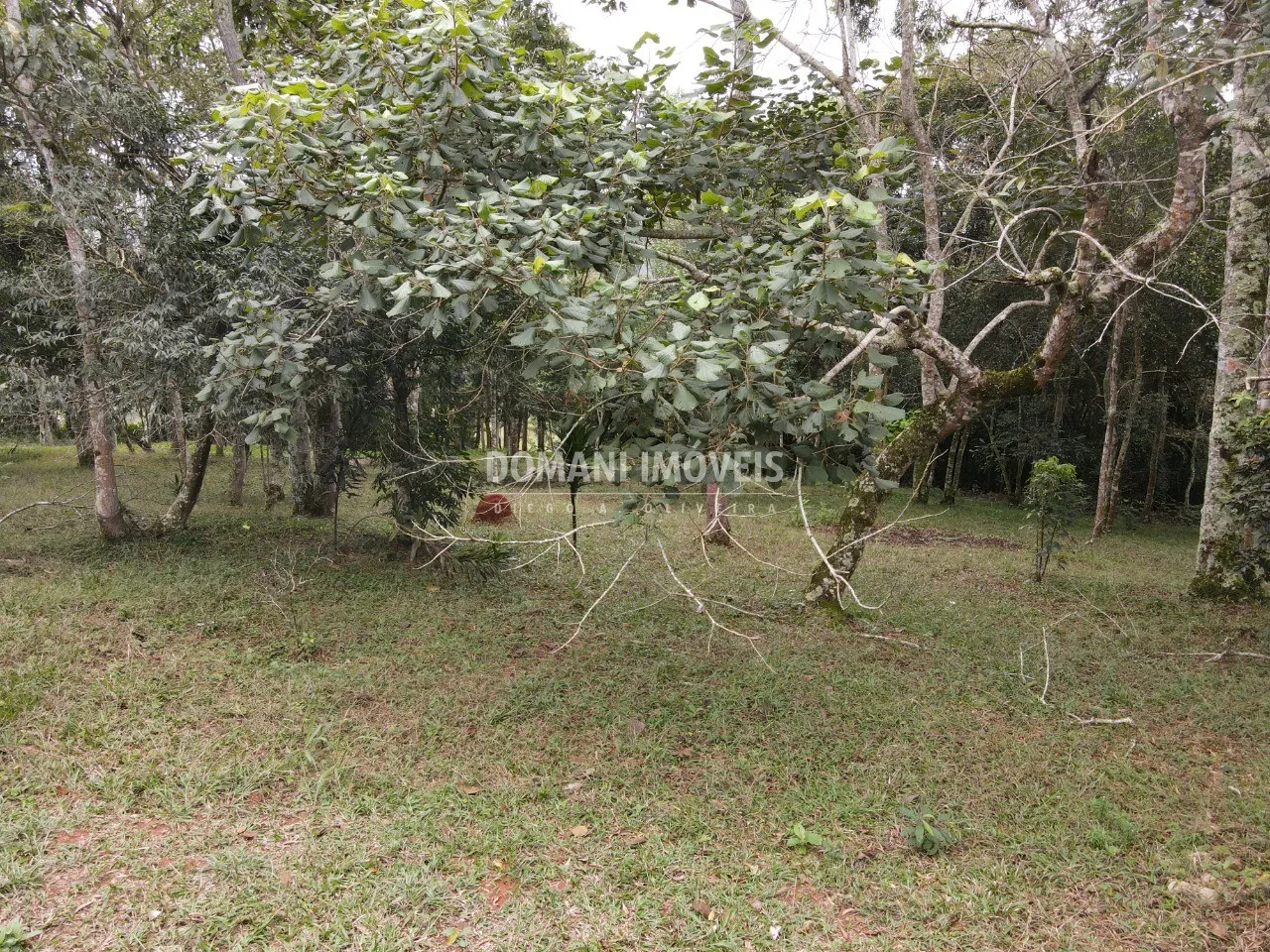 Terreno à venda de 4.860 m² em Santo Antônio do Pinhal, SP, Brasil