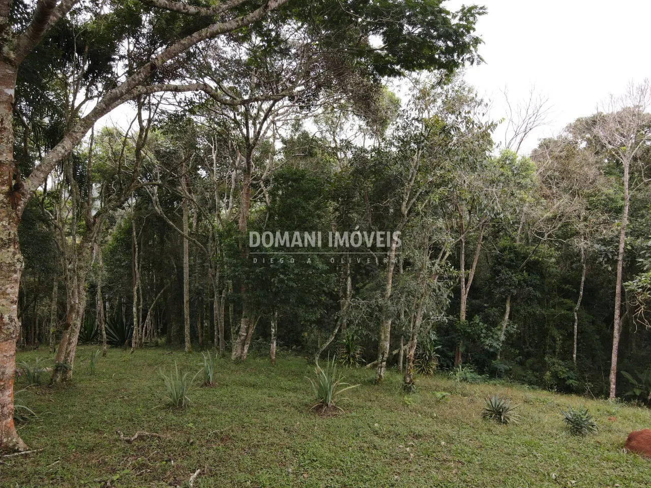 Terreno à venda de 4.860 m² em Santo Antônio do Pinhal, SP, Brasil