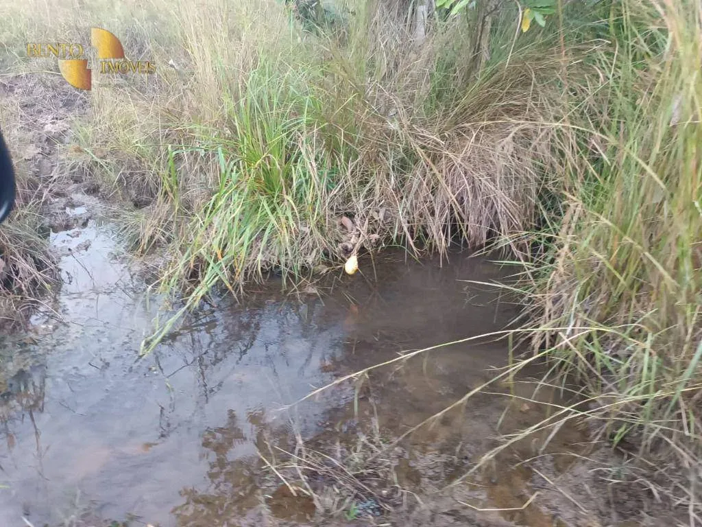 Fazenda à venda de 200 ha em Nossa Senhora do Livramento, MT, Brasil