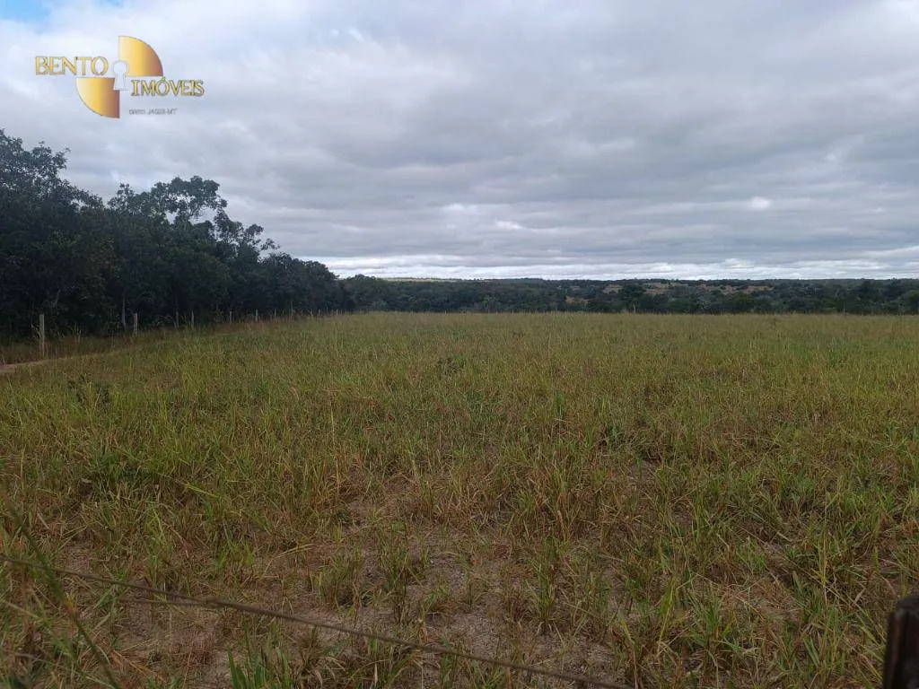 Fazenda à venda de 200 ha em Nossa Senhora do Livramento, MT, Brasil