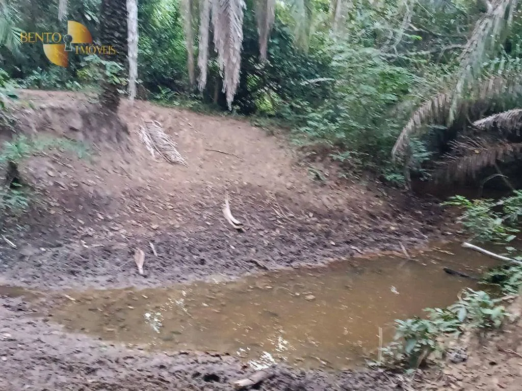 Fazenda à venda de 200 ha em Nossa Senhora do Livramento, MT, Brasil