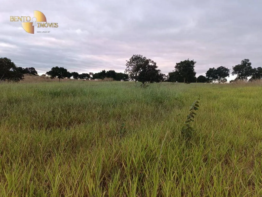 Fazenda à venda de 200 ha em Nossa Senhora do Livramento, MT, Brasil