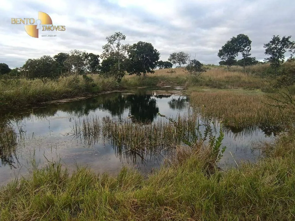 Fazenda à venda de 200 ha em Nossa Senhora do Livramento, MT, Brasil