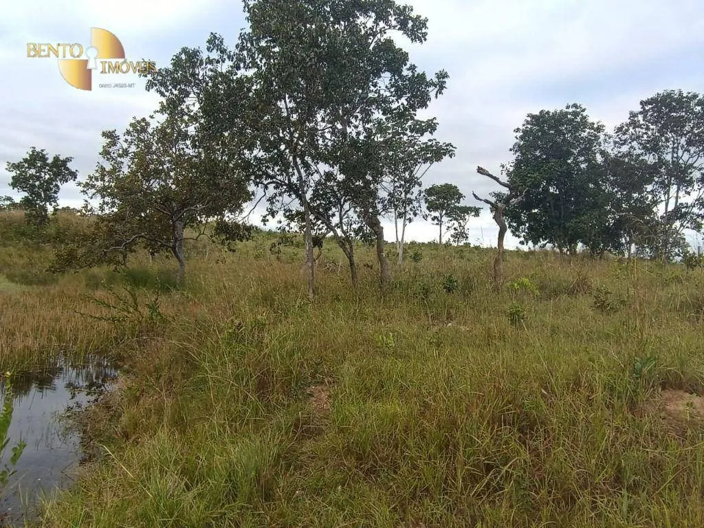 Fazenda à venda de 200 ha em Nossa Senhora do Livramento, MT, Brasil