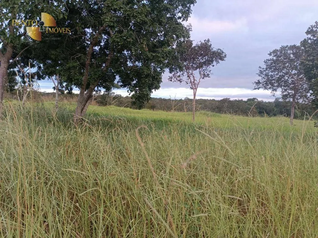 Fazenda à venda de 200 ha em Nossa Senhora do Livramento, MT, Brasil