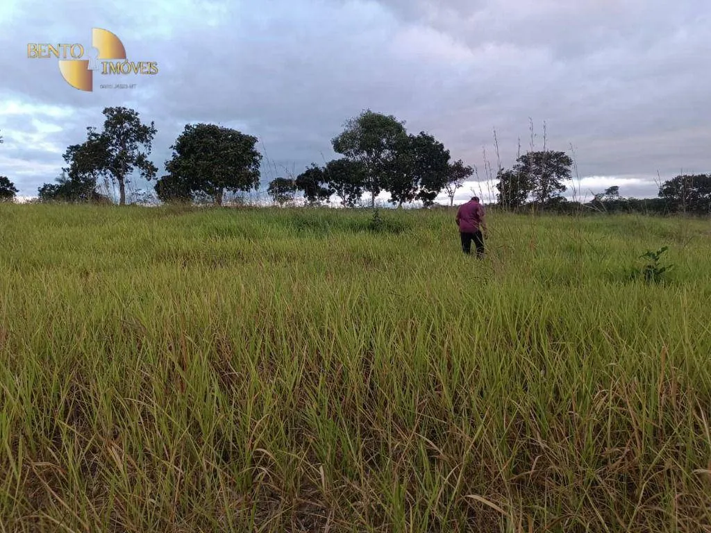 Fazenda à venda de 200 ha em Nossa Senhora do Livramento, MT, Brasil