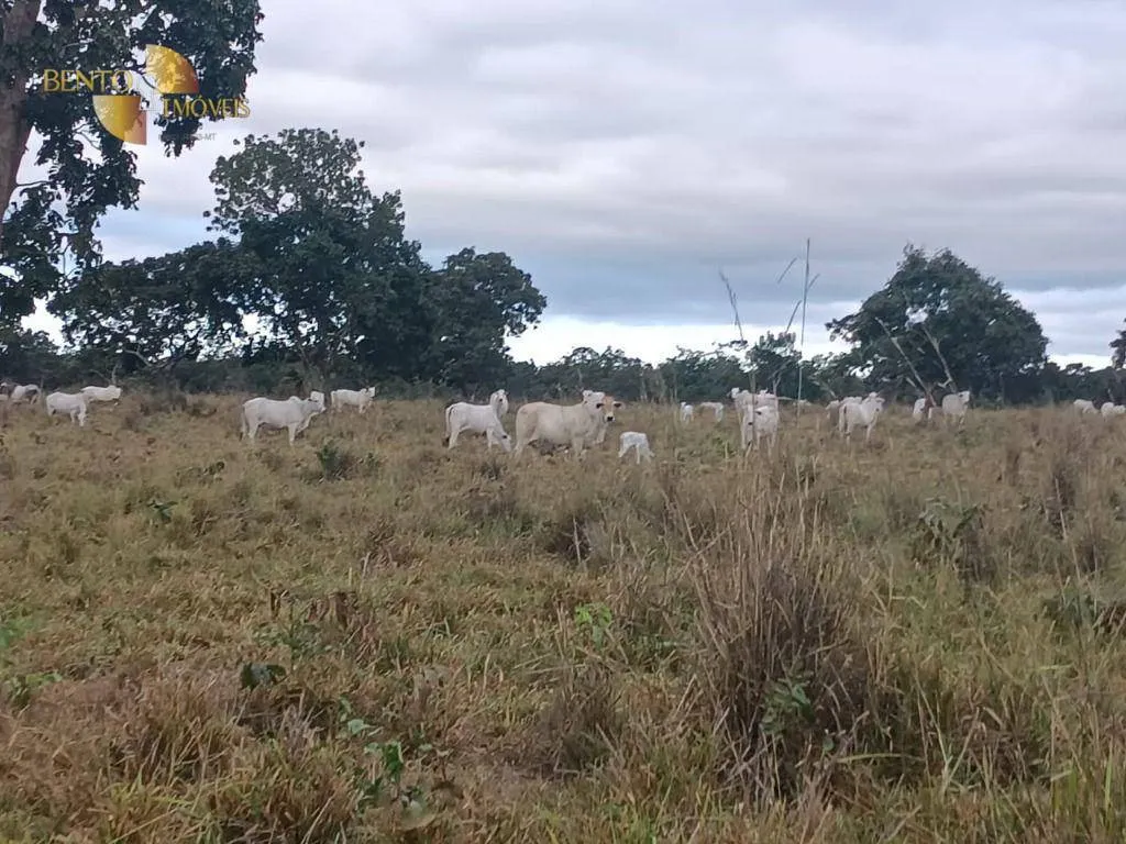 Fazenda à venda de 200 ha em Nossa Senhora do Livramento, MT, Brasil
