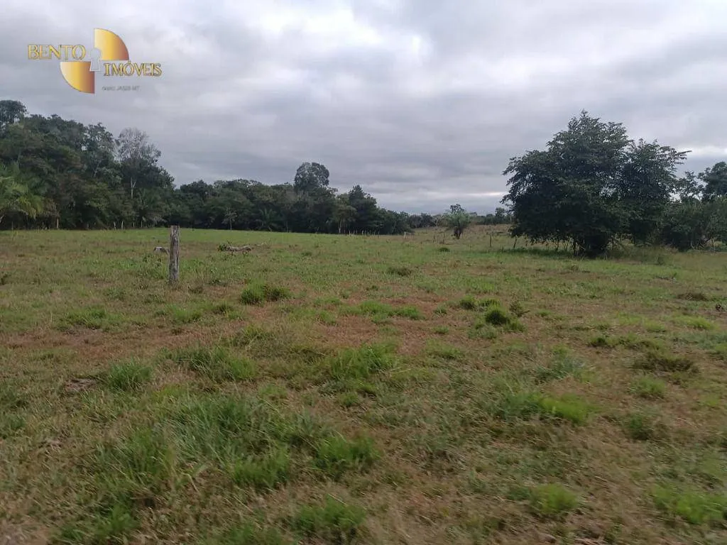Fazenda à venda de 200 ha em Nossa Senhora do Livramento, MT, Brasil