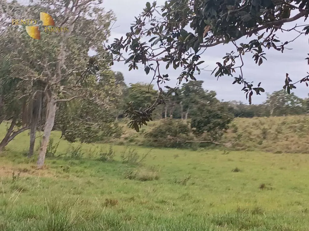 Fazenda à venda de 200 ha em Nossa Senhora do Livramento, MT, Brasil
