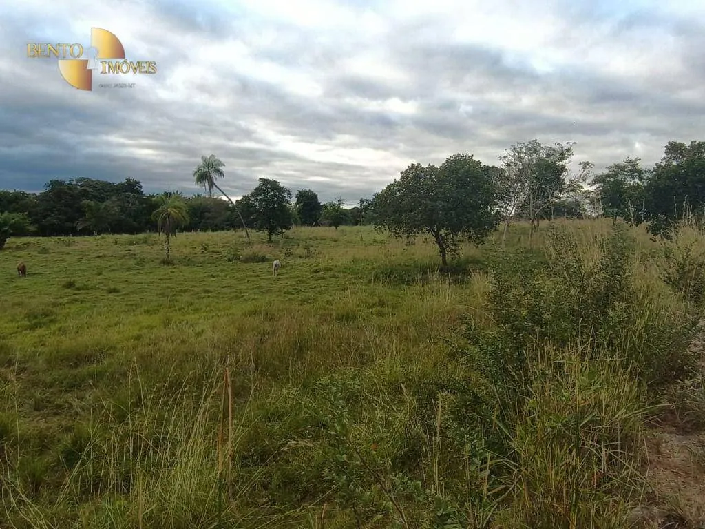 Fazenda à venda de 200 ha em Nossa Senhora do Livramento, MT, Brasil