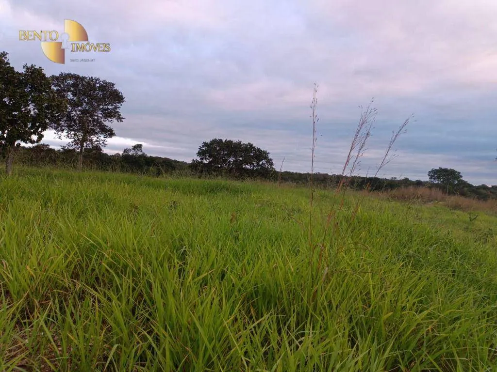 Fazenda à venda de 200 ha em Nossa Senhora do Livramento, MT, Brasil