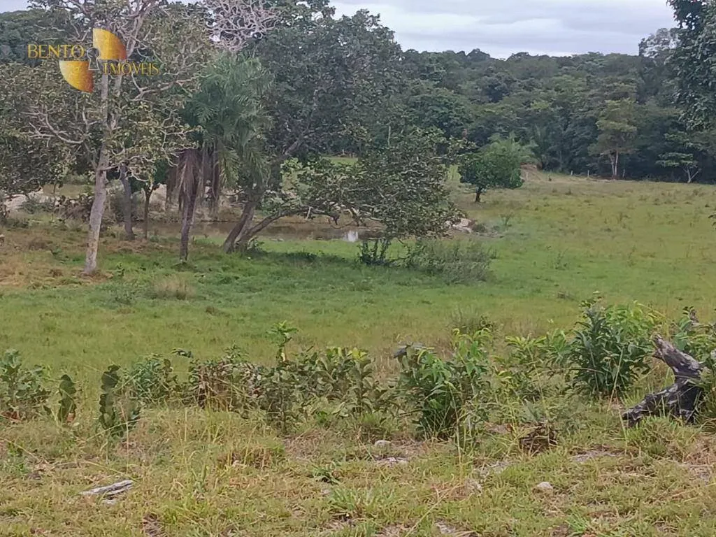 Fazenda à venda de 200 ha em Nossa Senhora do Livramento, MT, Brasil