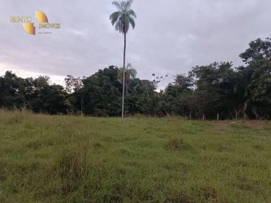 Fazenda à venda de 200 ha em Nossa Senhora do Livramento, MT, Brasil