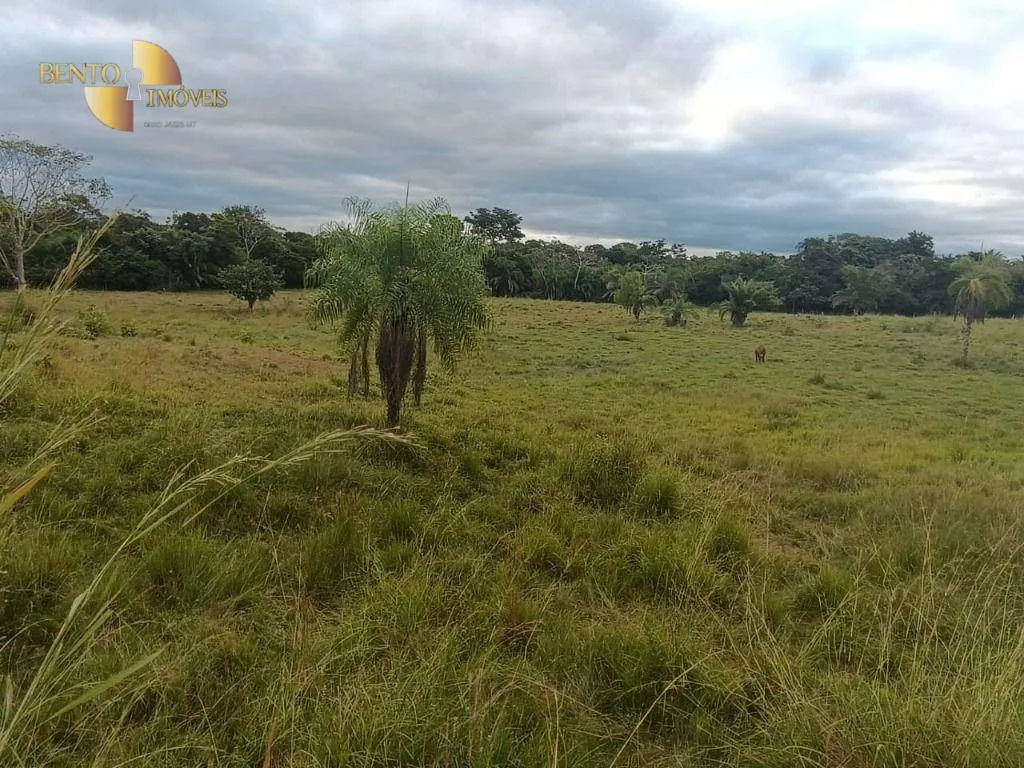 Fazenda à venda de 200 ha em Nossa Senhora do Livramento, MT, Brasil