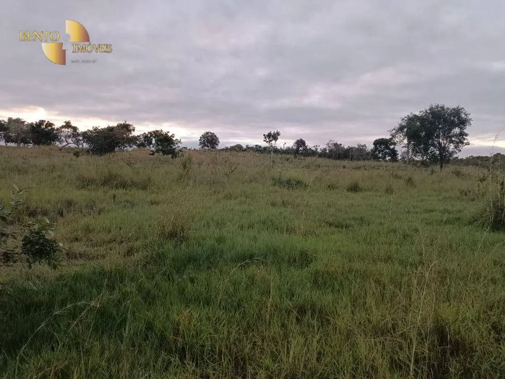 Fazenda à venda de 200 ha em Nossa Senhora do Livramento, MT, Brasil