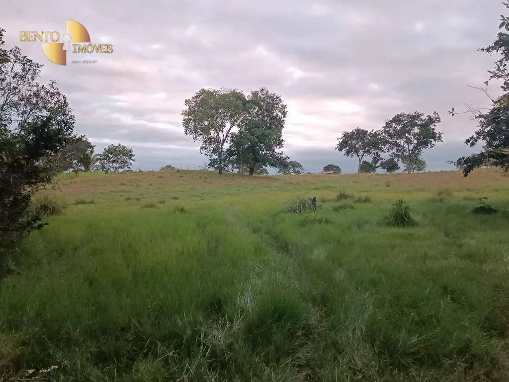 Fazenda à venda de 200 ha em Nossa Senhora do Livramento, MT, Brasil