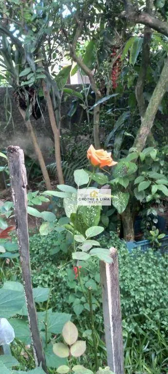 Chácara à venda de 8.000 m² em São José dos Campos, SP, Brasil