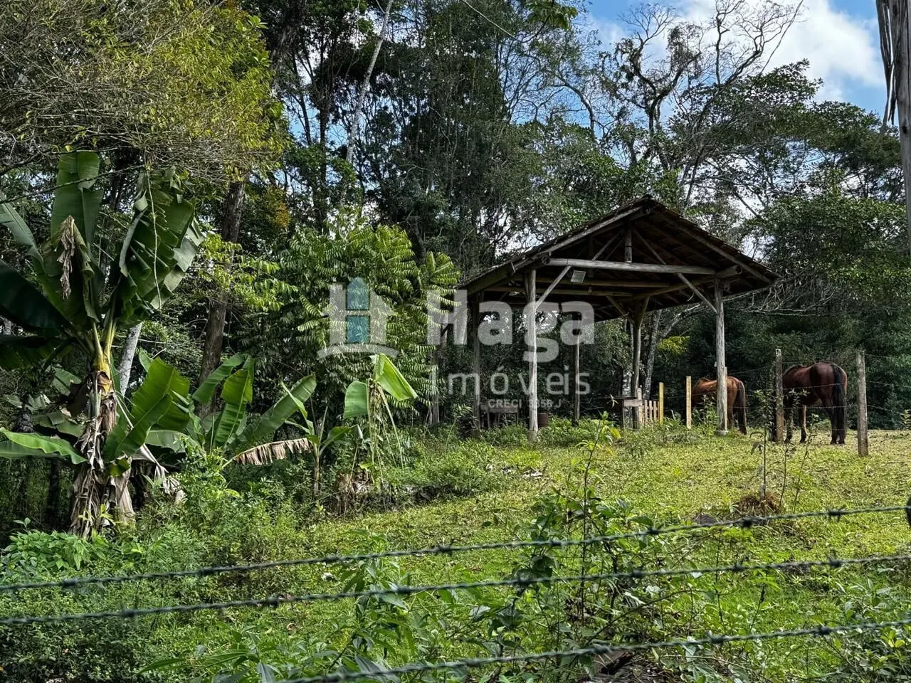 Chácara à venda de 3.600 m² em Canelinha, SC, Brasil