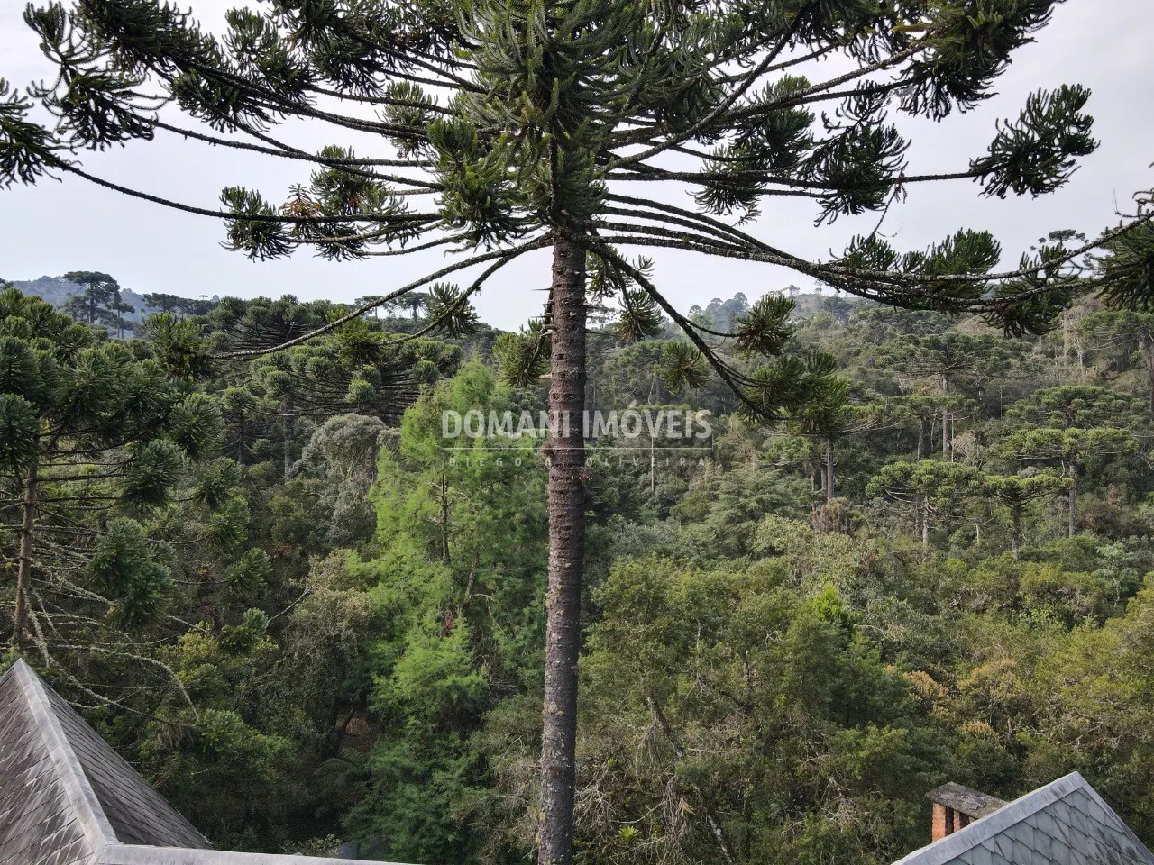 Casa à venda de 2.390 m² em Campos do Jordão, SP, Brasil