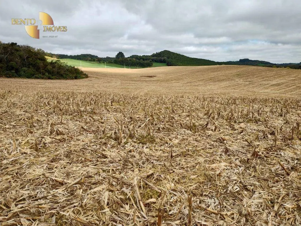 Fazenda à venda e para Arrendar de 297 ha em Francisco Beltrão, PR, Brasil