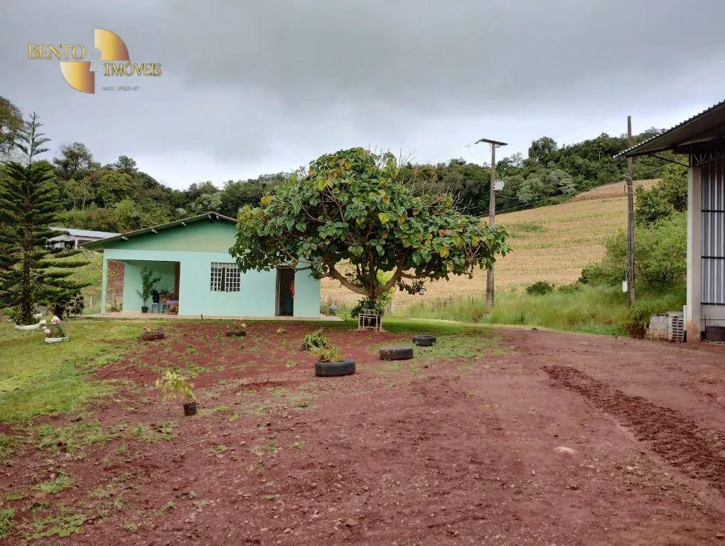 Fazenda à venda e para Arrendar de 297 ha em Francisco Beltrão, PR, Brasil