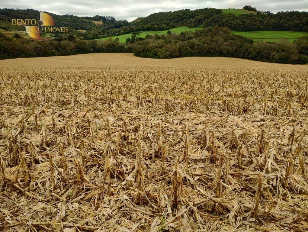 Fazenda à venda e para Arrendar de 297 ha em Francisco Beltrão, PR, Brasil