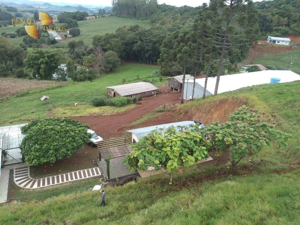 Fazenda à venda e para Arrendar de 297 ha em Francisco Beltrão, PR, Brasil