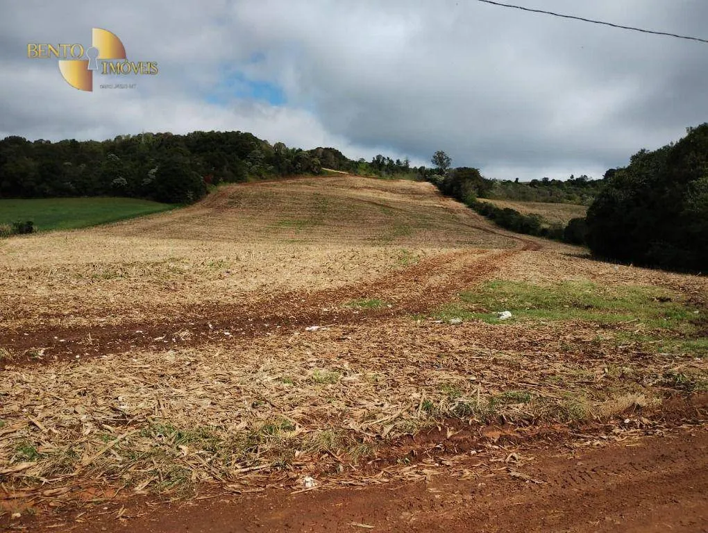 Fazenda à venda e para Arrendar de 297 ha em Francisco Beltrão, PR, Brasil