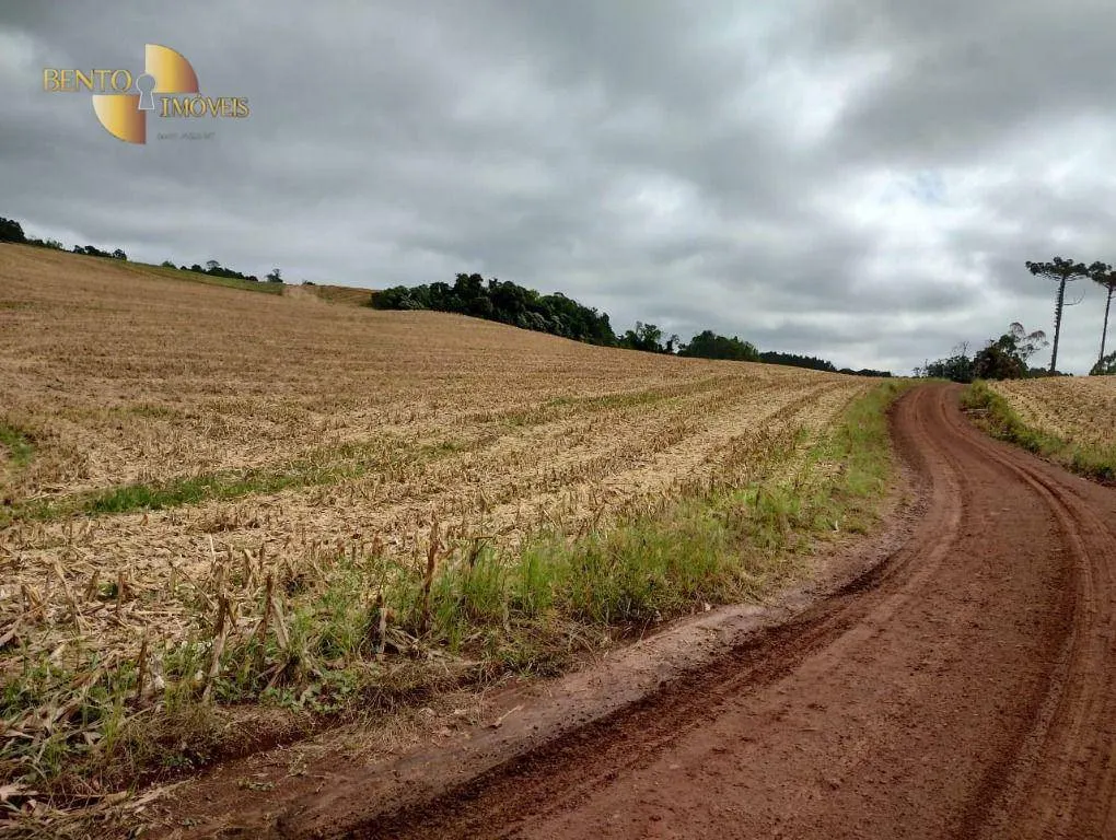 Fazenda à venda e para Arrendar de 297 ha em Francisco Beltrão, PR, Brasil