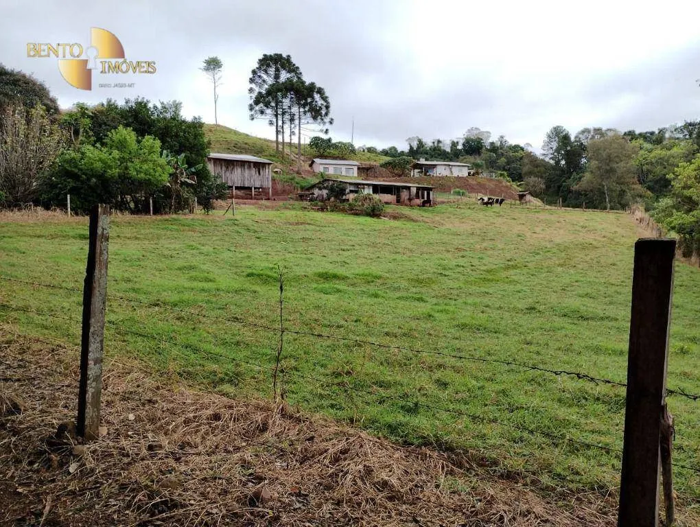 Fazenda à venda e para Arrendar de 297 ha em Francisco Beltrão, PR, Brasil