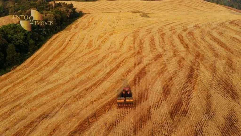 Fazenda à venda e para Arrendar de 297 ha em Francisco Beltrão, PR, Brasil