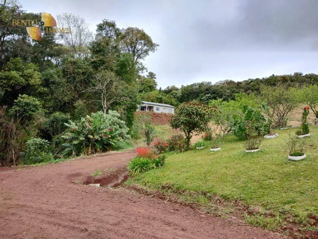 Fazenda à venda e para Arrendar de 297 ha em Francisco Beltrão, PR, Brasil