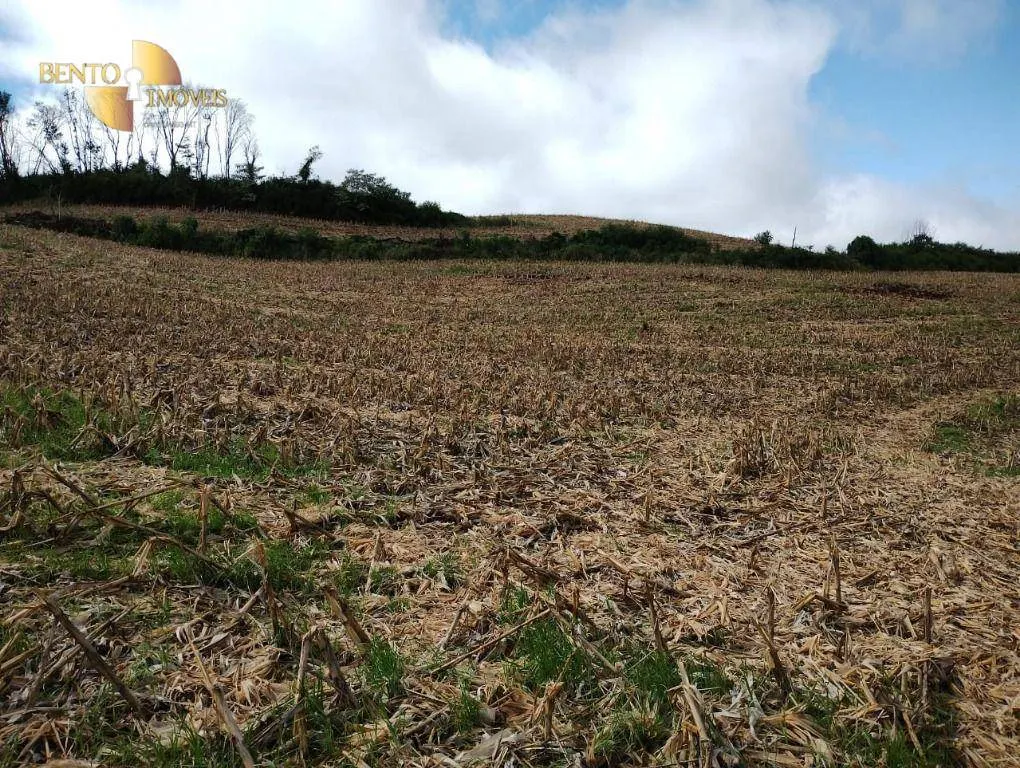 Fazenda à venda e para Arrendar de 297 ha em Francisco Beltrão, PR, Brasil