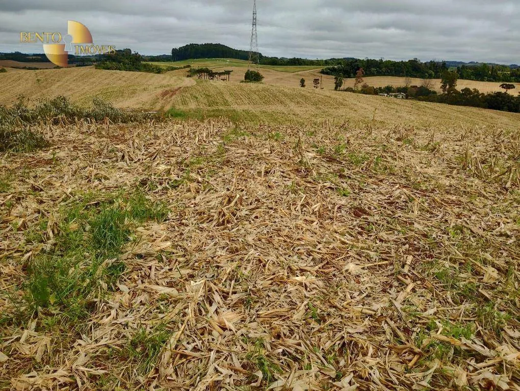Fazenda à venda e para Arrendar de 297 ha em Francisco Beltrão, PR, Brasil