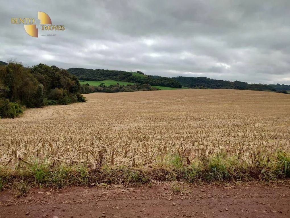 Fazenda à venda e para Arrendar de 297 ha em Francisco Beltrão, PR, Brasil
