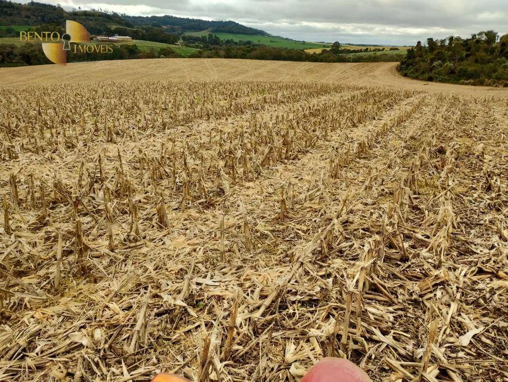 Fazenda à venda e para Arrendar de 297 ha em Francisco Beltrão, PR, Brasil