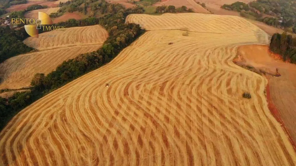 Fazenda à venda e para Arrendar de 297 ha em Francisco Beltrão, PR, Brasil