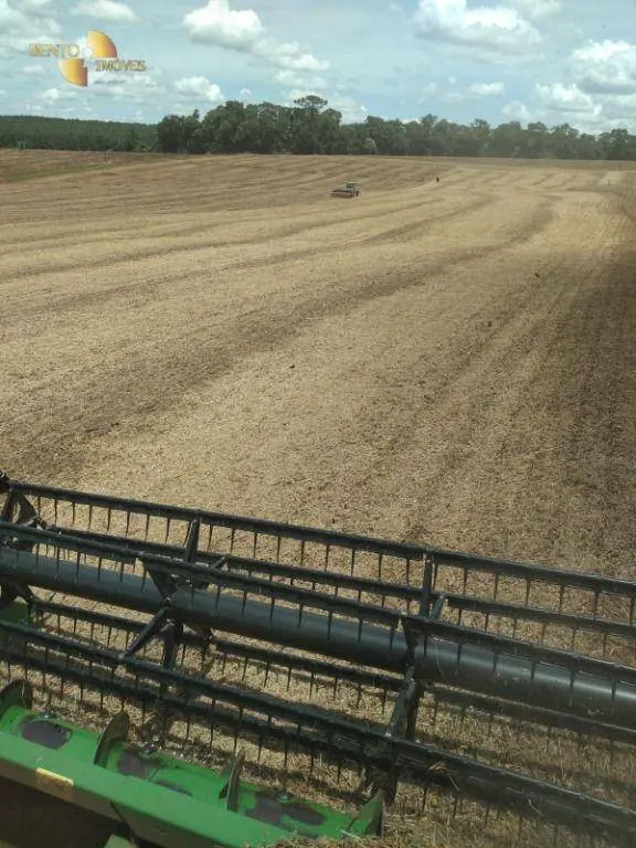 Fazenda à venda e para Arrendar de 297 ha em Francisco Beltrão, PR, Brasil