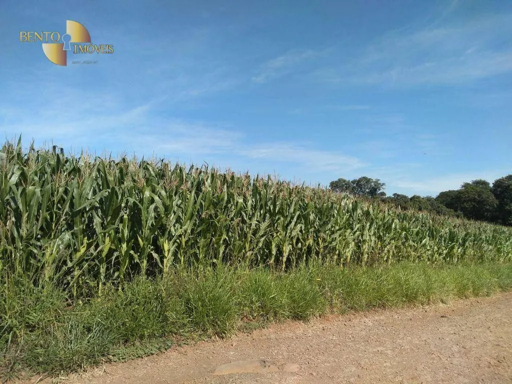 Fazenda à venda e para Arrendar de 297 ha em Francisco Beltrão, PR, Brasil