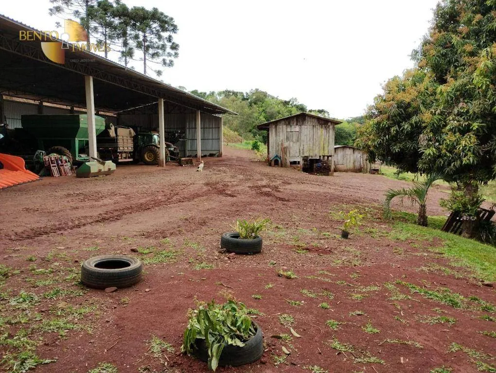 Fazenda à venda e para Arrendar de 297 ha em Francisco Beltrão, PR, Brasil