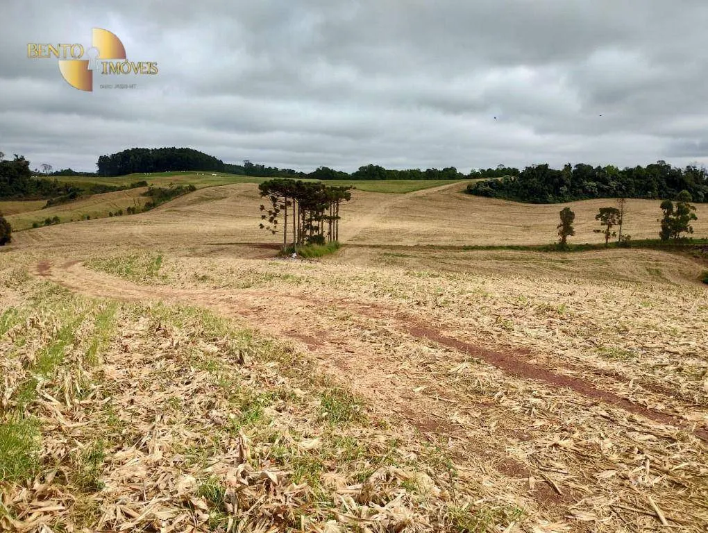 Fazenda à venda e para Arrendar de 297 ha em Francisco Beltrão, PR, Brasil