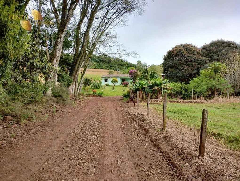 Fazenda à venda e para Arrendar de 297 ha em Francisco Beltrão, PR, Brasil