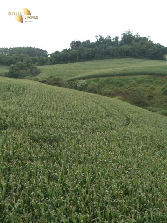 Fazenda à venda e para Arrendar de 297 ha em Francisco Beltrão, PR, Brasil