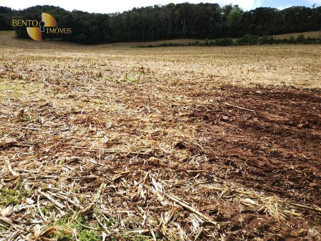 Fazenda à venda e para Arrendar de 297 ha em Francisco Beltrão, PR, Brasil