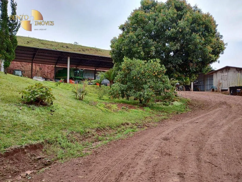 Fazenda à venda e para Arrendar de 297 ha em Francisco Beltrão, PR, Brasil